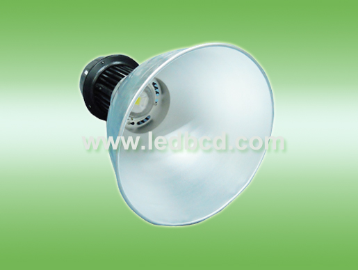 100W LED Flood Light
