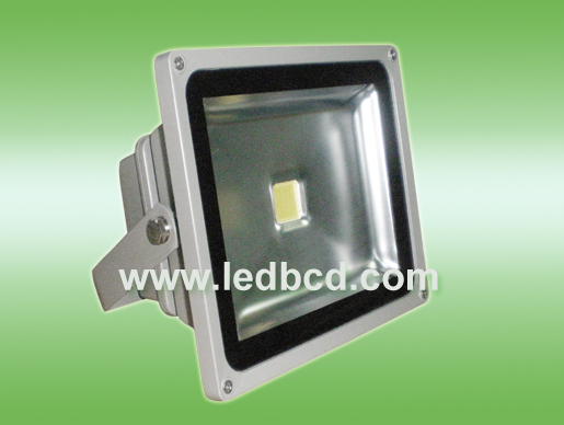 10W LED Flood Light