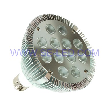 12*1W LED PAR38 Light