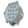 12W LED Pool Lamp