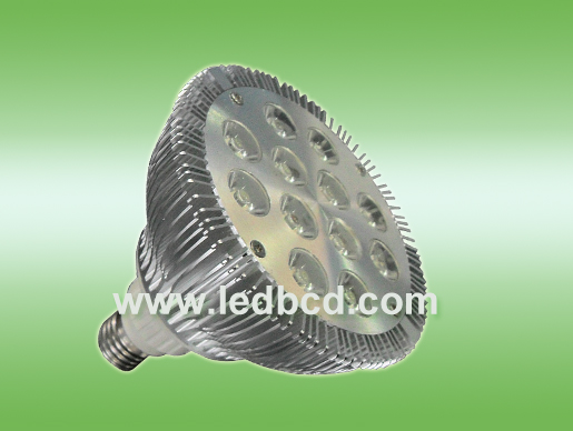 12W PAR38 LED Spot Light