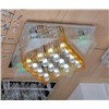 15W LED Crystal Ceiling Lamp (YAYE-LC205)