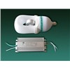18W Induction Lamp