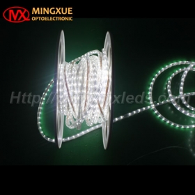 220V LED Strip Light