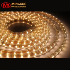 220V Waterproof LED Strip Light