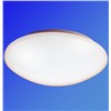22W Eco-Friendly Lamp LED Roof Light