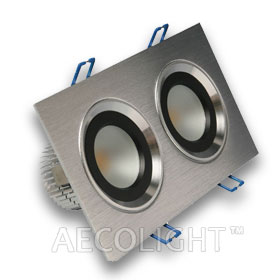 2X6W Power LED Downlight