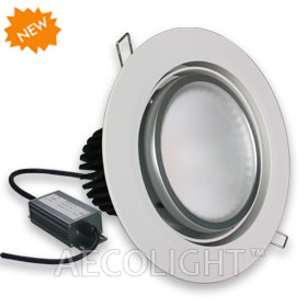 30W Power LED Downlight