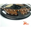 3528 LED Flexible Light