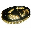 3528 RGB LED Flexible Stripe