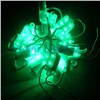 4 LEDs Green Module in Plastic Case (PL-M28G4)