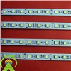 5050 LED Flexible Light