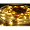 5050 LED Strip (Waterproof)