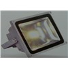 50W LED Flood Light