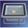 50W LED Floodlight