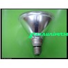 5.5W High Power Par38 Ceiling Spot Light