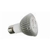 6W LED Spot Lamp (ZY-PAR20B-5X1)