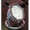 6W Swimming Pool Light