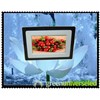 7 inch LCD Display