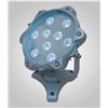 9W LED Pool Light (YAYE-UW9WA09)
