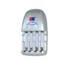 Battery Charger Exported to Europe