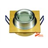 ceiling light (238ND)