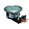 Ceiling Light (6013DD-P2 )