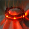 China Supply Competitive LED Dog Collar