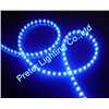 Clear PVC Waterproof Flexible LED Strip in Blue (PL-FS96B96)