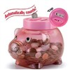 Coin Counting Bank