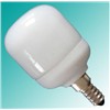 Compact Fluorescent Lamp/Fluorescent Lamp
