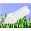 Compact Fluorescent Lamps (OPN2U-05)