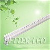 Edison LED Wall Lamp 30W with CE and RoHS