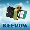 Electrical Push Button Switches