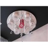 Elegant low votlage crystal pendent light  DY8012-40