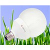 Energy Saving Bulb Light (OPNG05)