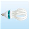 Energy Saving Bulb Light