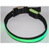 Fashionable LED Dog Collar