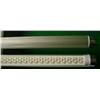 Fluorescent Lamps (GP-L22RGAB)