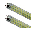 Fluorescent Tube