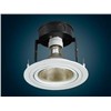 Flushbonading metal halide lamp  D5511