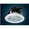 flushbonading metal halide spotlight  D5515