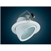 flushbonading spot light D5516