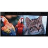 Full Color Outdoor Video LED Sign Display