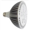 High Power LED Spot Light PAR38 9W