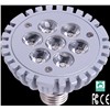 Lamp Bulb