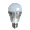 LED Bulb Lamp