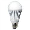 LED  Bulb Lamp