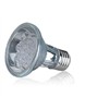 LED Bulb