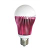 LED Bulb